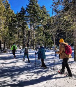 excursions raquetes de neu a porte puymorens llac passet amb NaturActiva excursion raquetas de nieve