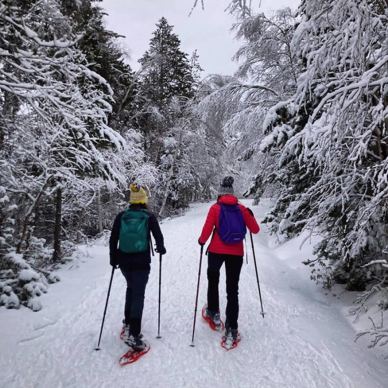 excursions raquetes de neu llac passet porte puymorens cerdanya amb NaturActiva excursion raquetas de nieve